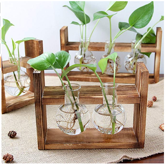 Planter Hydroponics Decor