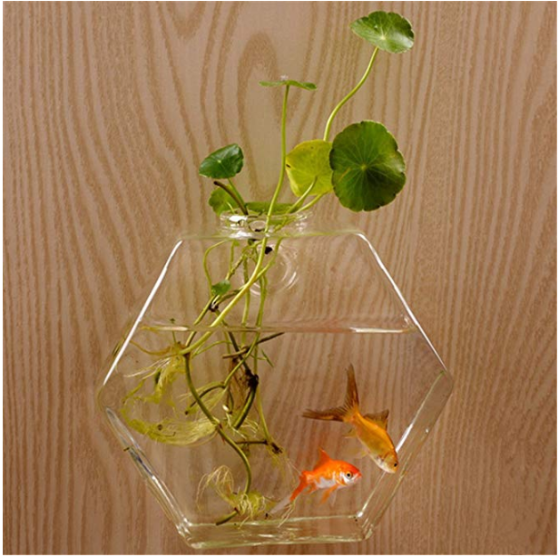 Water Planting Vase